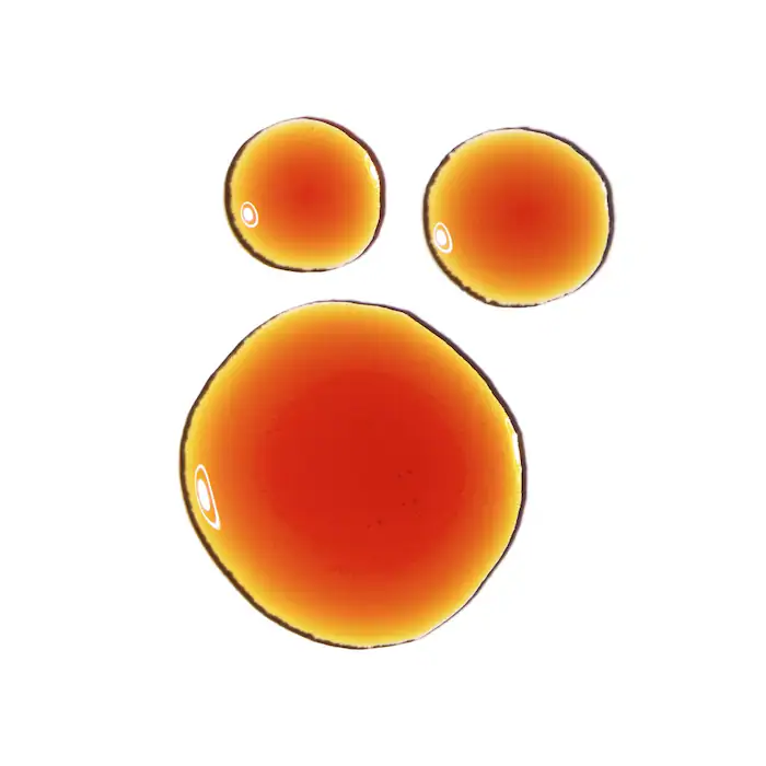 Pycnogenol 5% | بيكنوغينول 5% من ذا أورديناري - الصورة 2